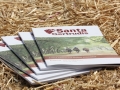 Santa Gertrudis Journal