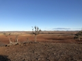 Drought 2018 / 2019