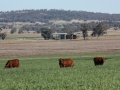 View to the Sale Complex