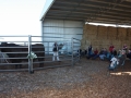 Beef Infomation Day 2017