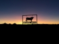 Stud Sign at Sunset