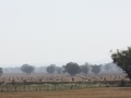 Stubble Hay 2020