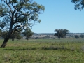 Tuppence & Glenmore Views