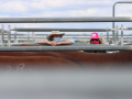 Inspecting the bulls 2021