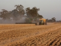 Harvest Tuppence 2020