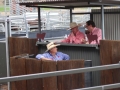 Sale Day 2025